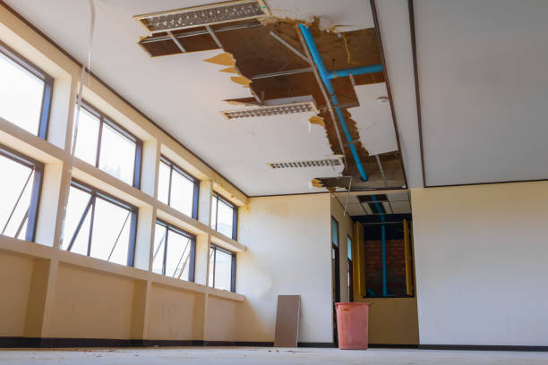 Best Water damage contractors near me  in Wendell, ID