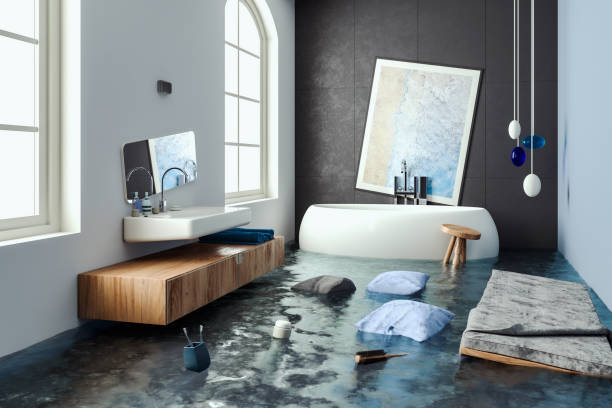 Reliable ID Water damage restoration Solutions