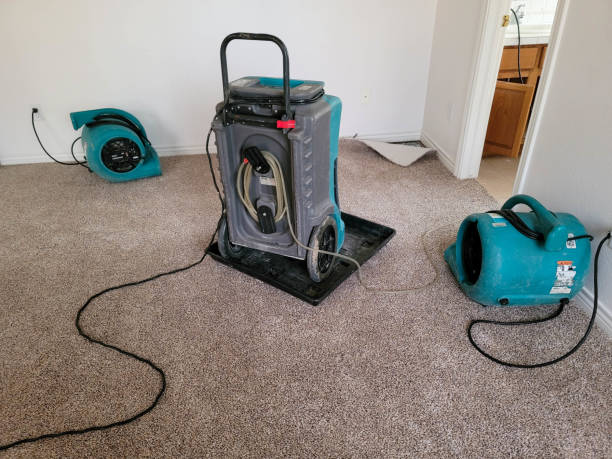 Best Basement water damage restoration  in Wendell, ID