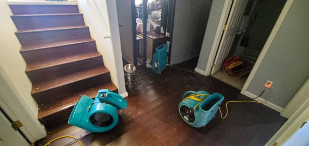 Best 24-hour water damage restoration  in Wendell, ID