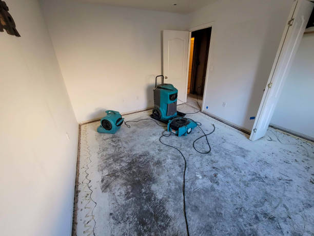 Best Commercial water damage restoration  in Wendell, ID