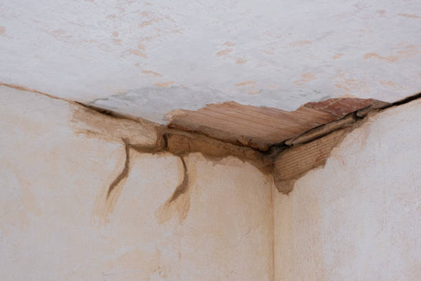 Best Local water damage restoration  in Wendell, ID