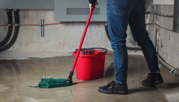 Best Emergency water damage restoration  in Wendell, ID