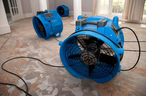 Best Flood damage cleanup  in Wendell, ID