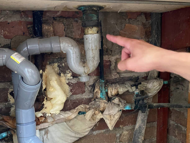 Best Water damage cleanup near me  in Wendell, ID