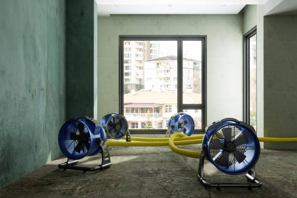Best Carpet water damage restoration  in Wendell, ID